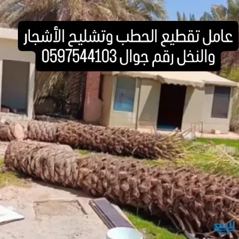 خدمة تقطيع الحطب وتشليح الاشجار و النخيل